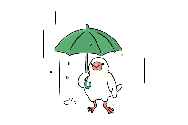 雨の中の文鳥