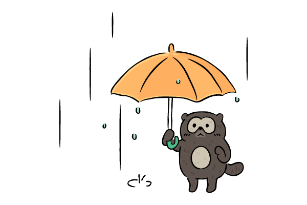 雨の中のタヌキ