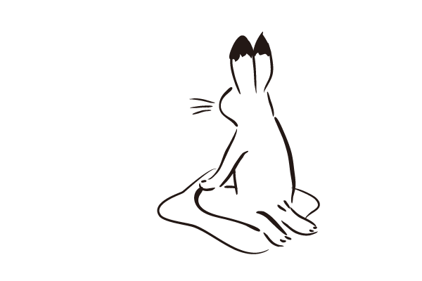 正座するウサギ